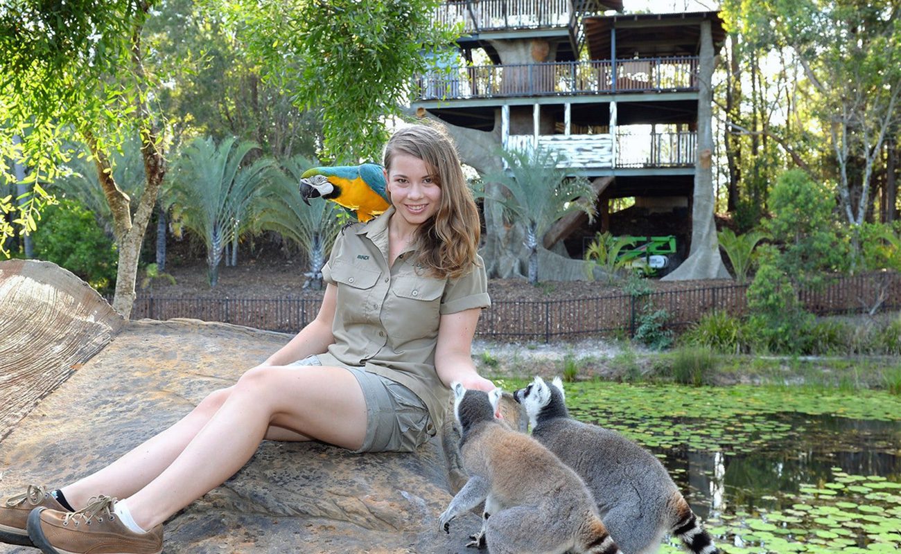 australia zoo tours from mooloolaba